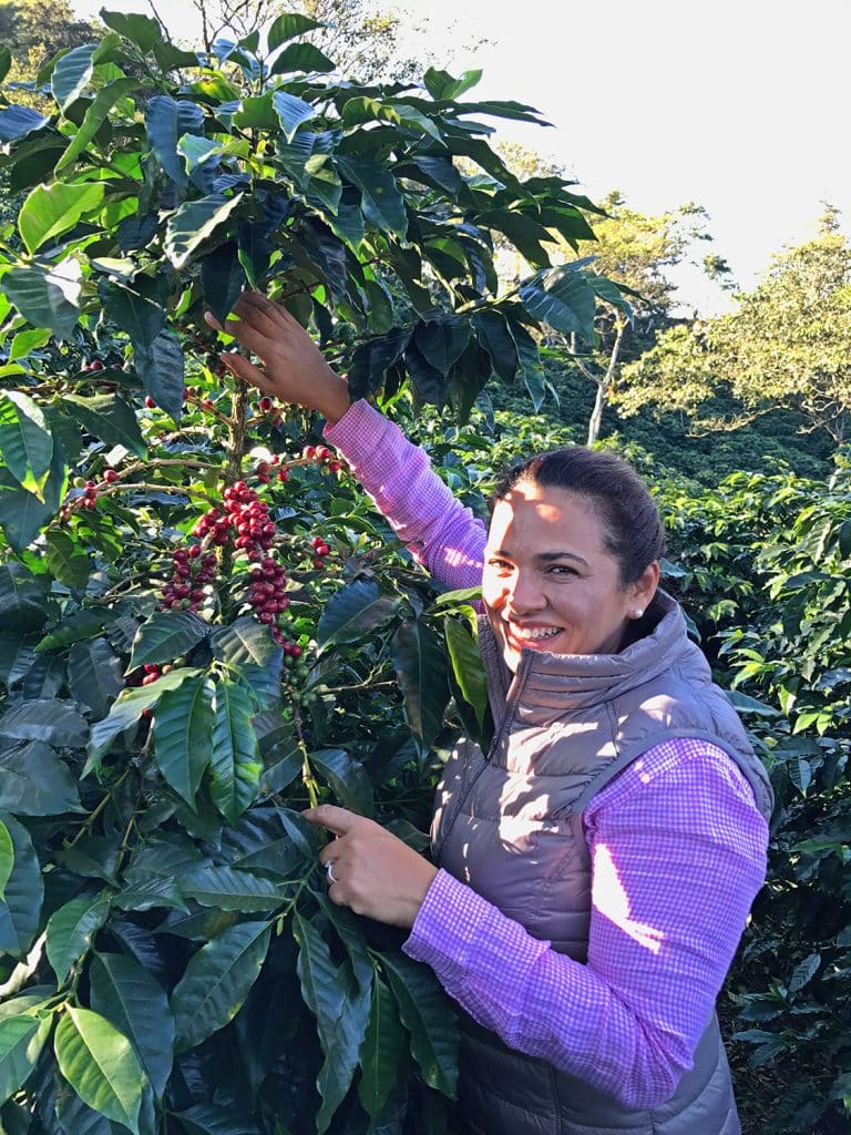 Honduras Caballero Bomba De Fruta #5